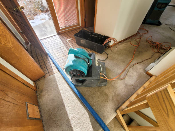 Best Carpet water damage restoration  in Springfield, CO