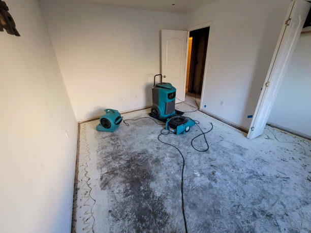 Springfield, CO Water damage restoration Company